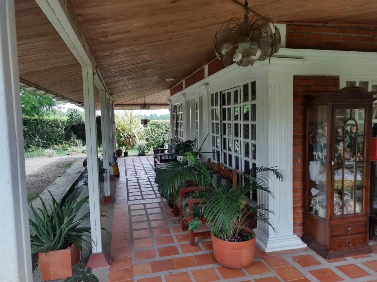 Villa Monica Montenegro Exterior foto